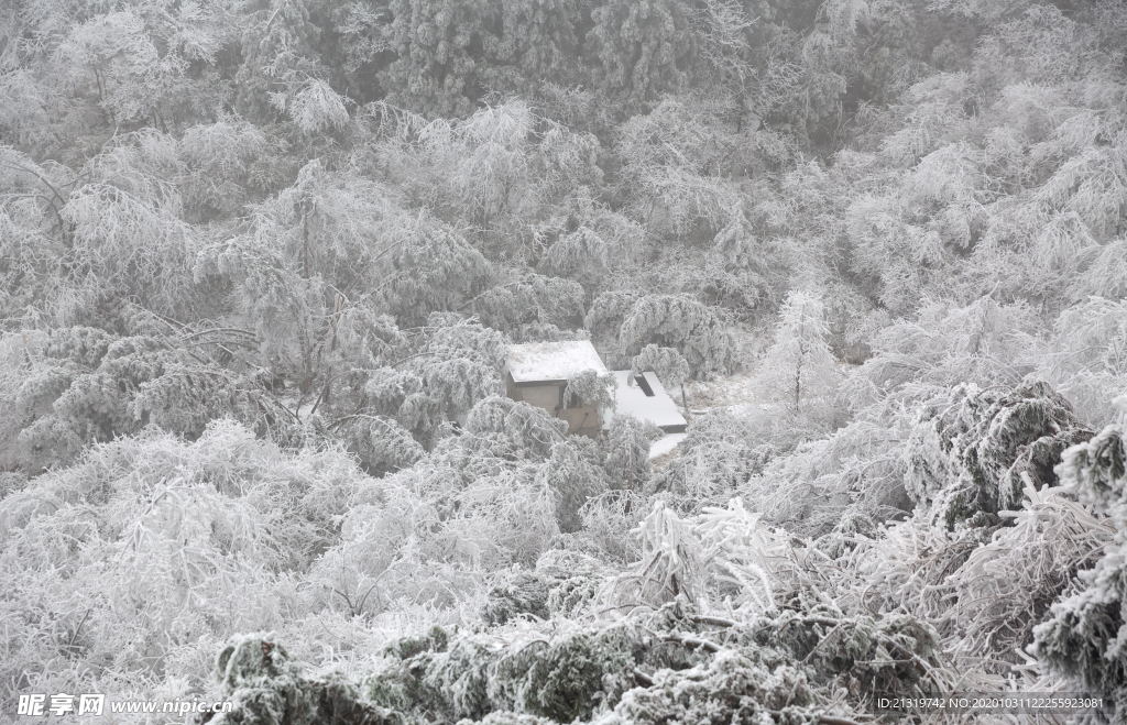 森林雪景