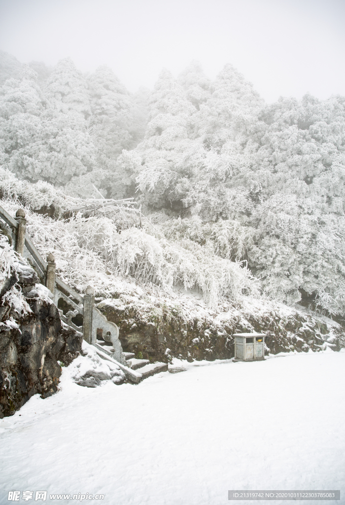 美丽雪景
