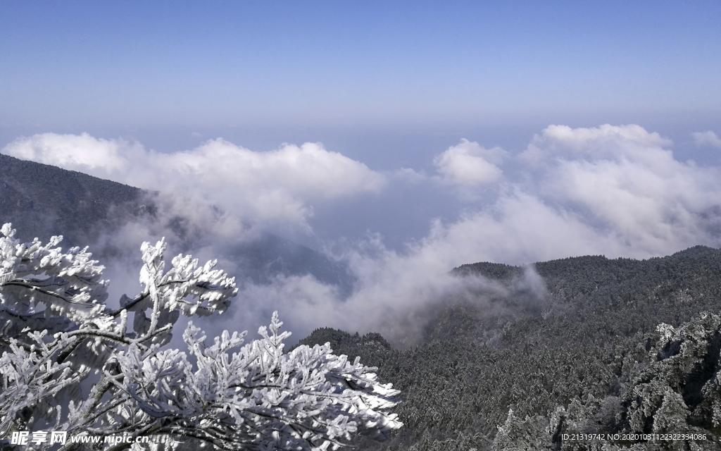 美丽雪景