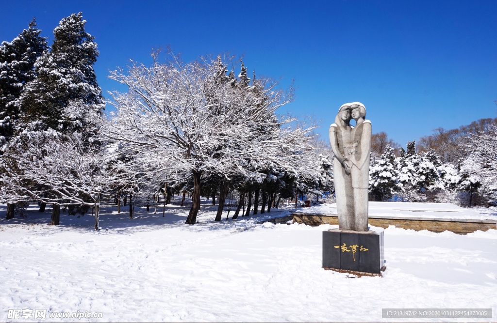 美丽雪景