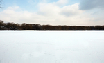 冬日雪景