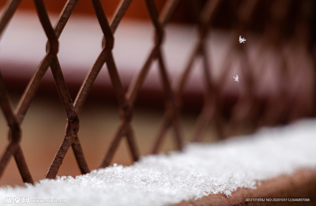 积雪摄影