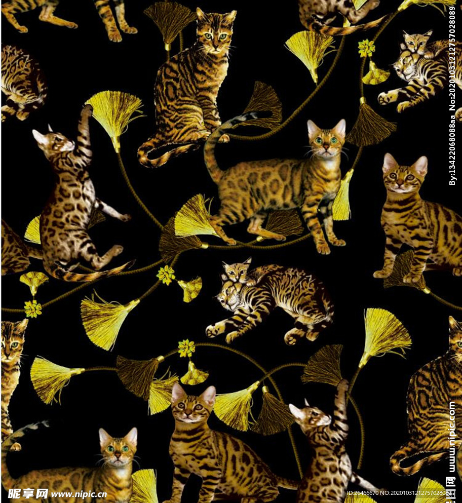 猫
