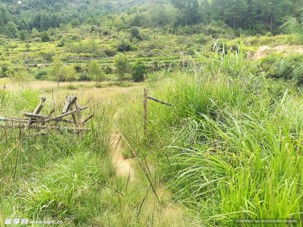 农场入口 木头门 木栏