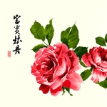 国画牡丹