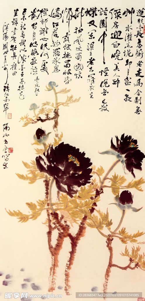 国画牡丹