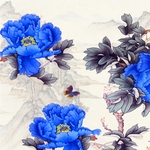 国画牡丹