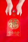 新年主题摄影