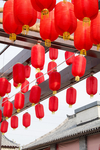 新年主题摄影