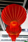新年主题摄影