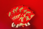 新年主题摄影