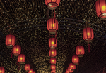 新年主题摄影