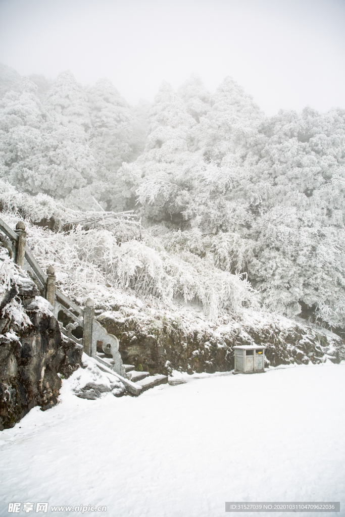 雪中森林