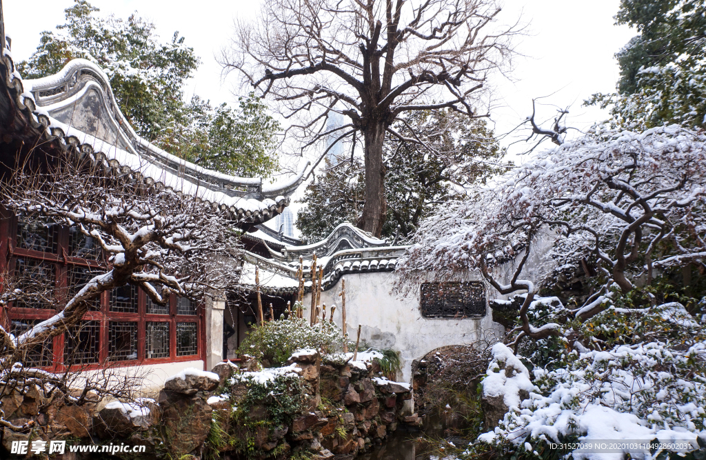 雪后公园摄影