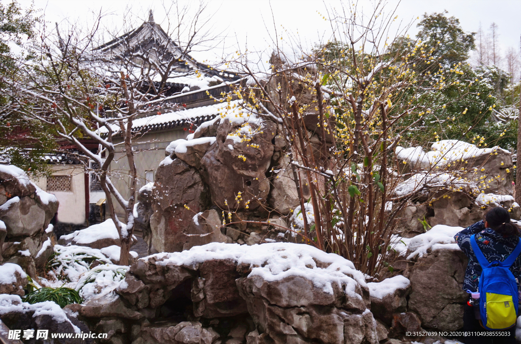 公园雪景