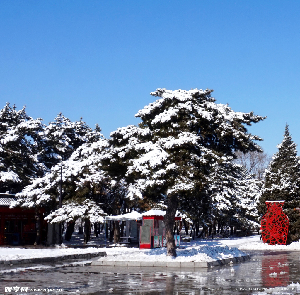 雪后的广场