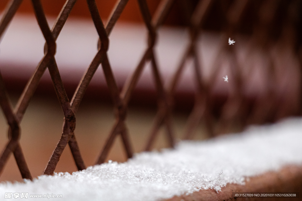 雪红色网