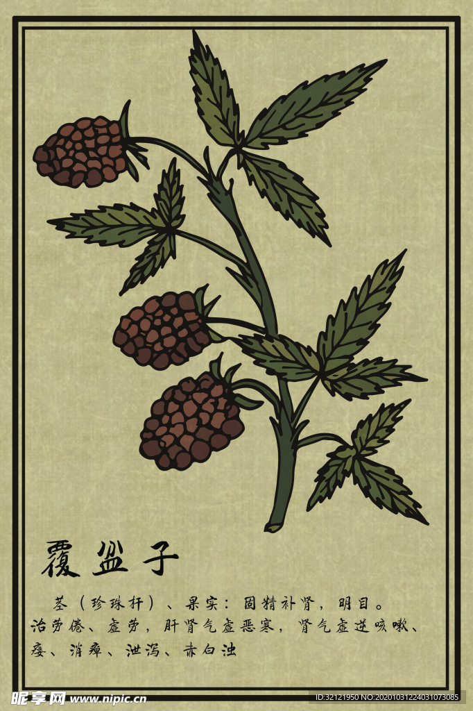 中药图