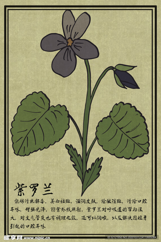 中药图