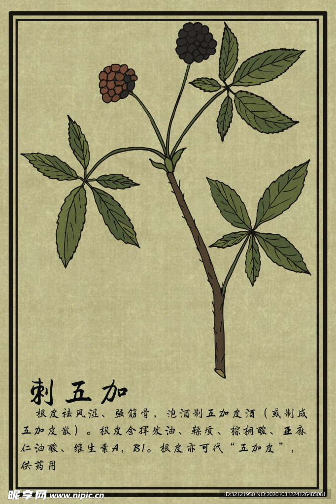 中草药