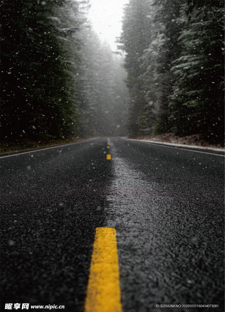 下雪的公路