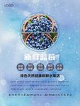 蓝莓海报
