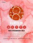 柚子海报