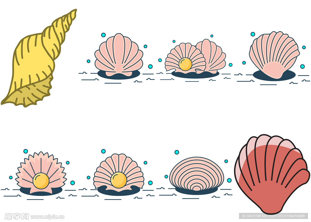 贝壳