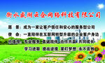 盛湖企业文化