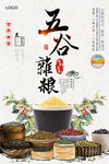 清新五谷杂粮海报