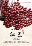 红豆海报
