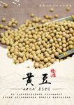 黄豆海报