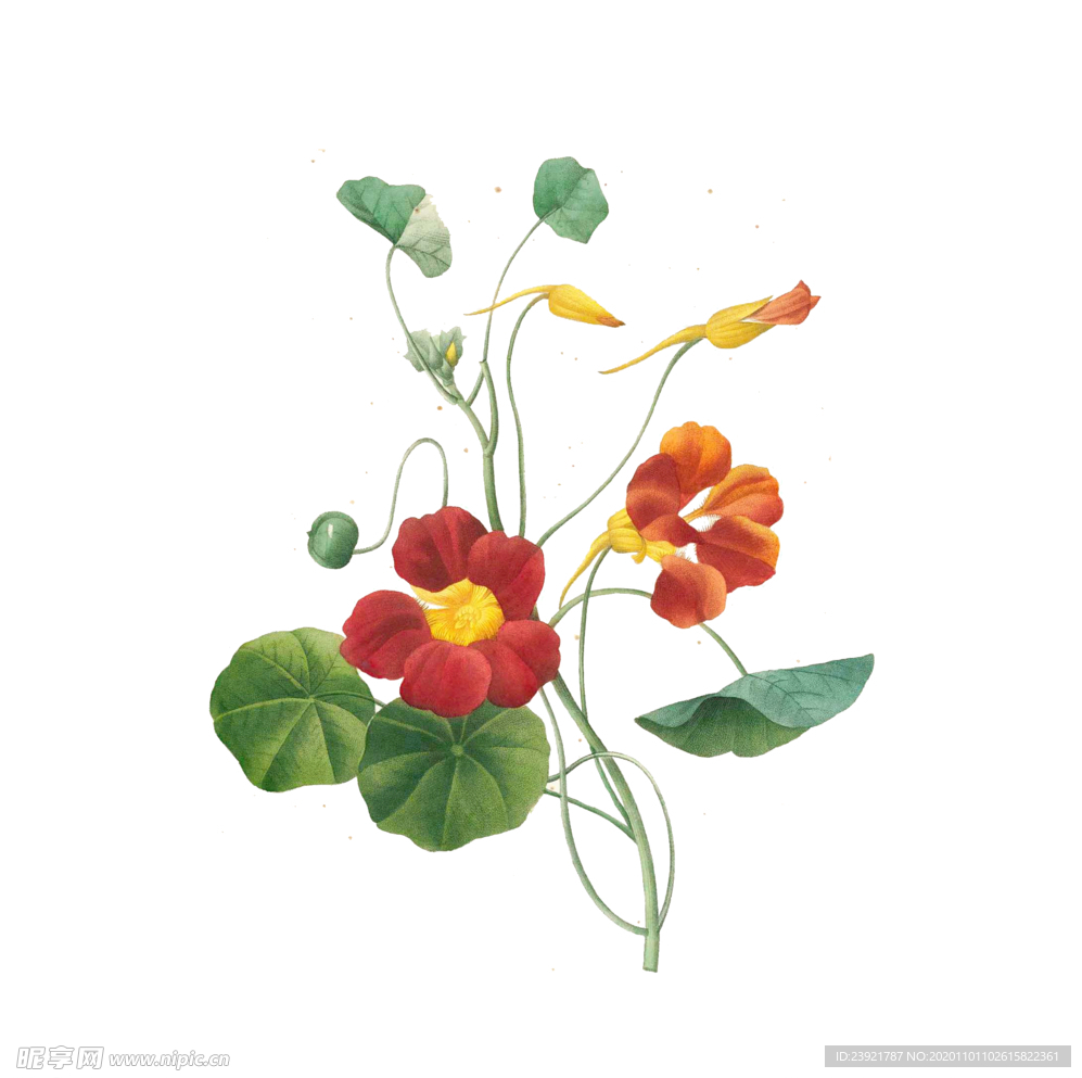花