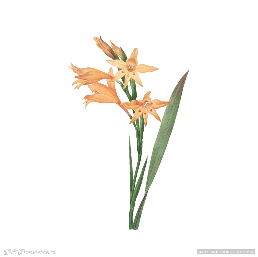 花