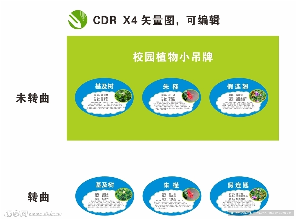 校园植物牌