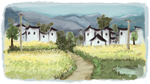 油菜花田