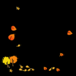 霜降