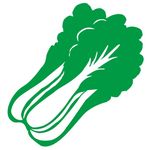 矢量白菜