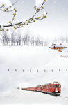 雪地上的为车