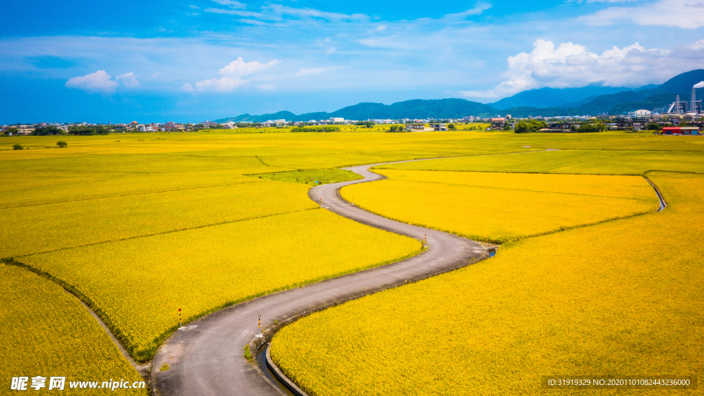 田野