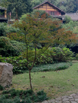实拍青田石门洞景区
