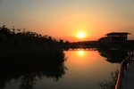 黄河湿地余晖