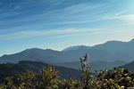 秦岭