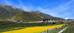 黄河贵德清
