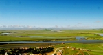 黄河
