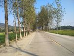 乡村公路
