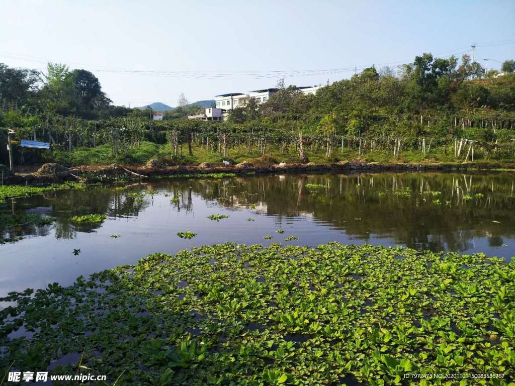 钱塘江第八种潮景再现：浙江多地出现罕见鱼鳞潮_新浪新闻