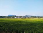 田园风光