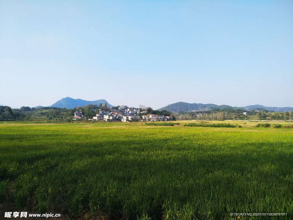 田园风光