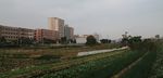 田园风景